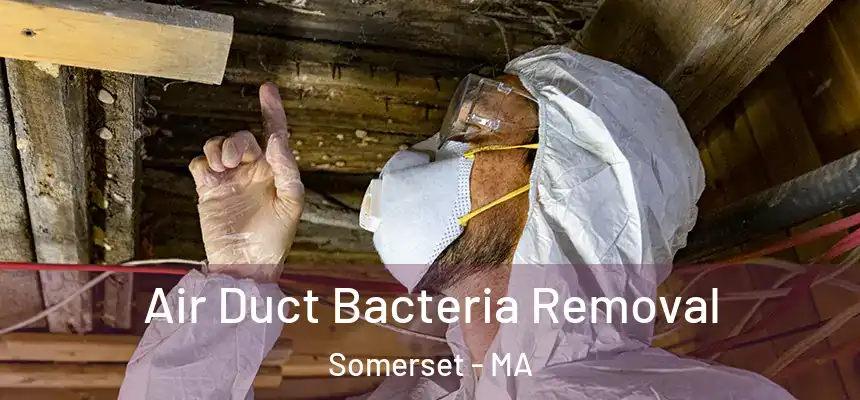  Air Duct Bacteria Removal Somerset - MA