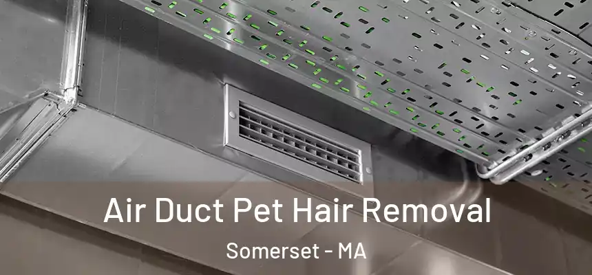  Air Duct Pet Hair Removal Somerset - MA