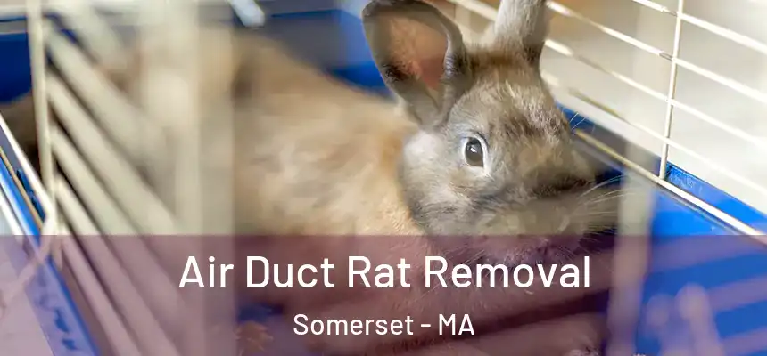 Air Duct Rat Removal Somerset - MA