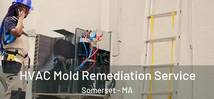 HVAC Mold Remediation Service Somerset - MA