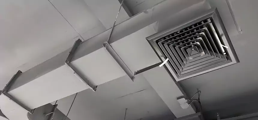 Restorative Allergy Relief Vent Cleaning – Coil, Blower & Housing Detail in Somerset