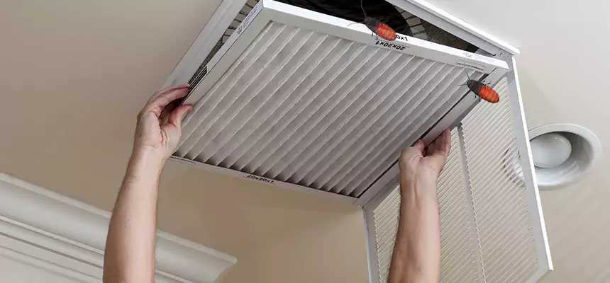 Our Insect Removal from Air Ducts Services in Somerset, MA