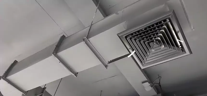 Our Pest Removal From Ducts Services in Somerset, MA