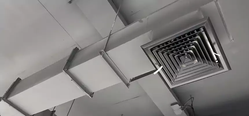 Our Rodent Droppings In Vents Services in Somerset, MA