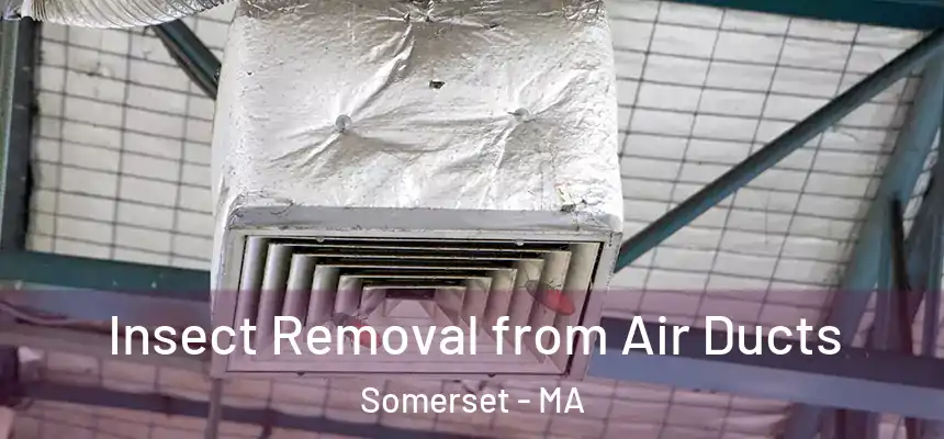 Insect Removal from Air Ducts Somerset - MA