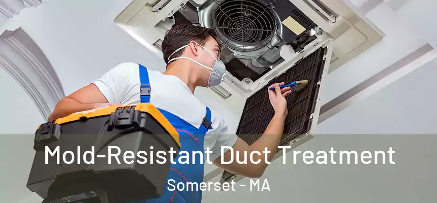  Mold-Resistant Duct Treatment Somerset - MA