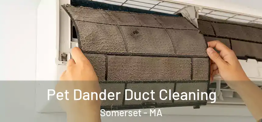  Pet Dander Duct Cleaning Somerset - MA