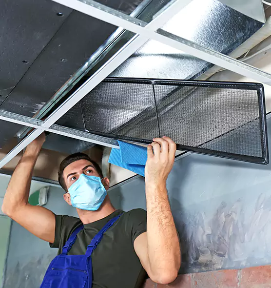 About Air Duct Bacteria Removal in Somerset