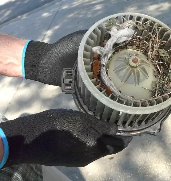 About Air Duct Mice Removal in Somerset, MA