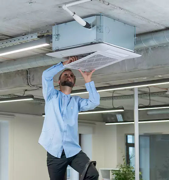 Advanced Rodent Droppings In Vents in Somerset, MA