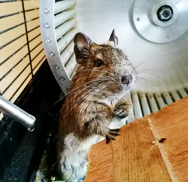 Why Homeowners & Businesses Trust Us Somerset, MA