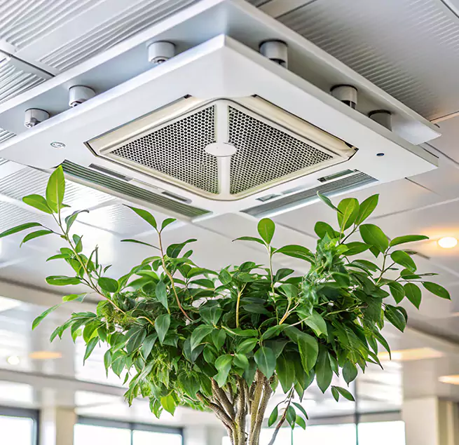 Why Homeowners & Businesses Trust Us in Somerset, MA