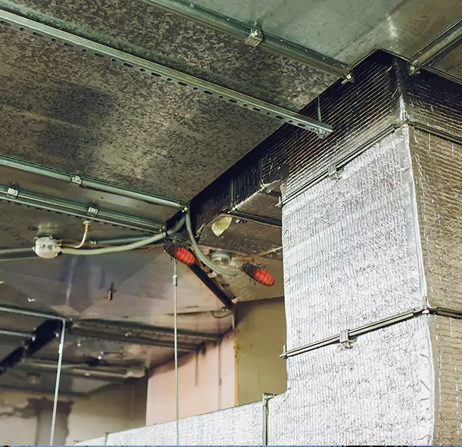 Why Homeowners & Businesses Trust Us Somerset, MA?