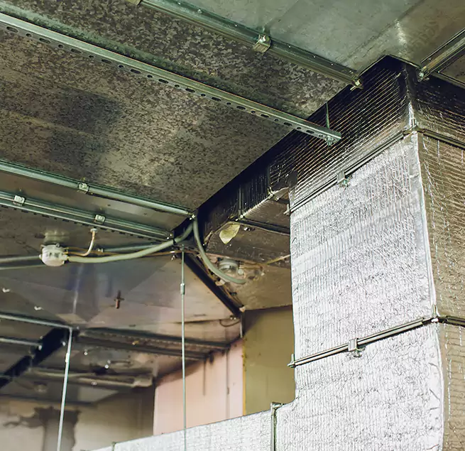 Why Homeowners & Businesses Trust Us in Somerset, MA?